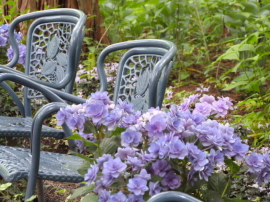 バラクラ英国庭園ベンチ