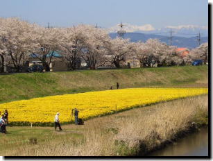 上川河川敷