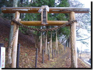 カタクリ群生地