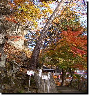 阿弥陀寺
