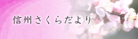 信州さくらだより